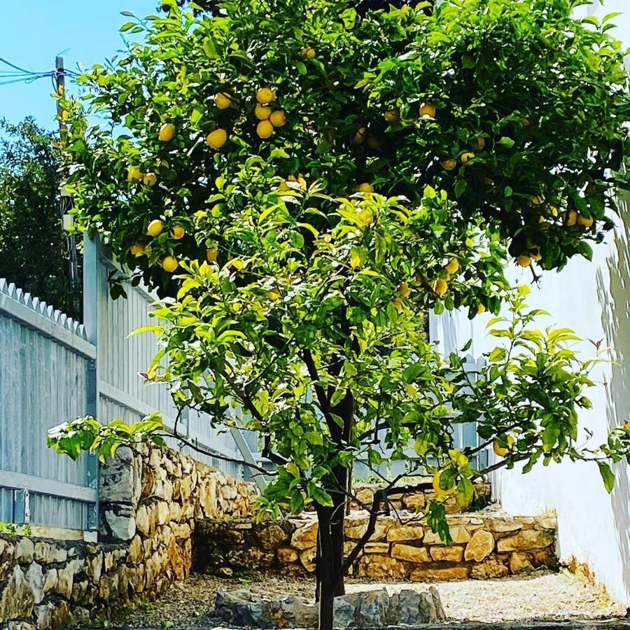 Sorina Beloved Rooms Spetses Town Ngoại thất bức ảnh