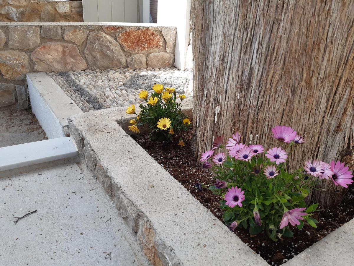 Sorina Beloved Rooms Spetses Town Ngoại thất bức ảnh